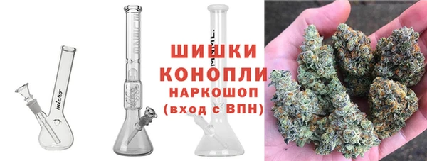 гашик Пересвет