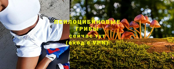 кокаин Алексеевка