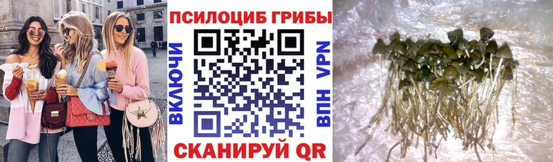 где продают   Навашино  Галлюциногенные грибы ЛСД 